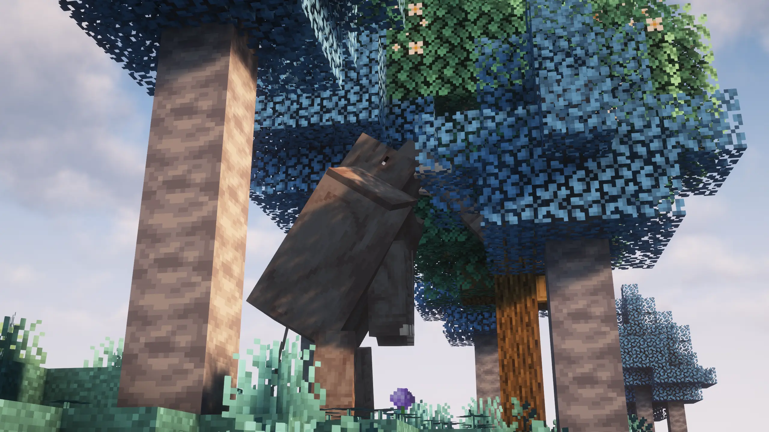 default image