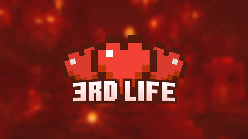 3RD LIFE